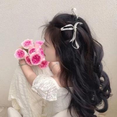 看不见的苏